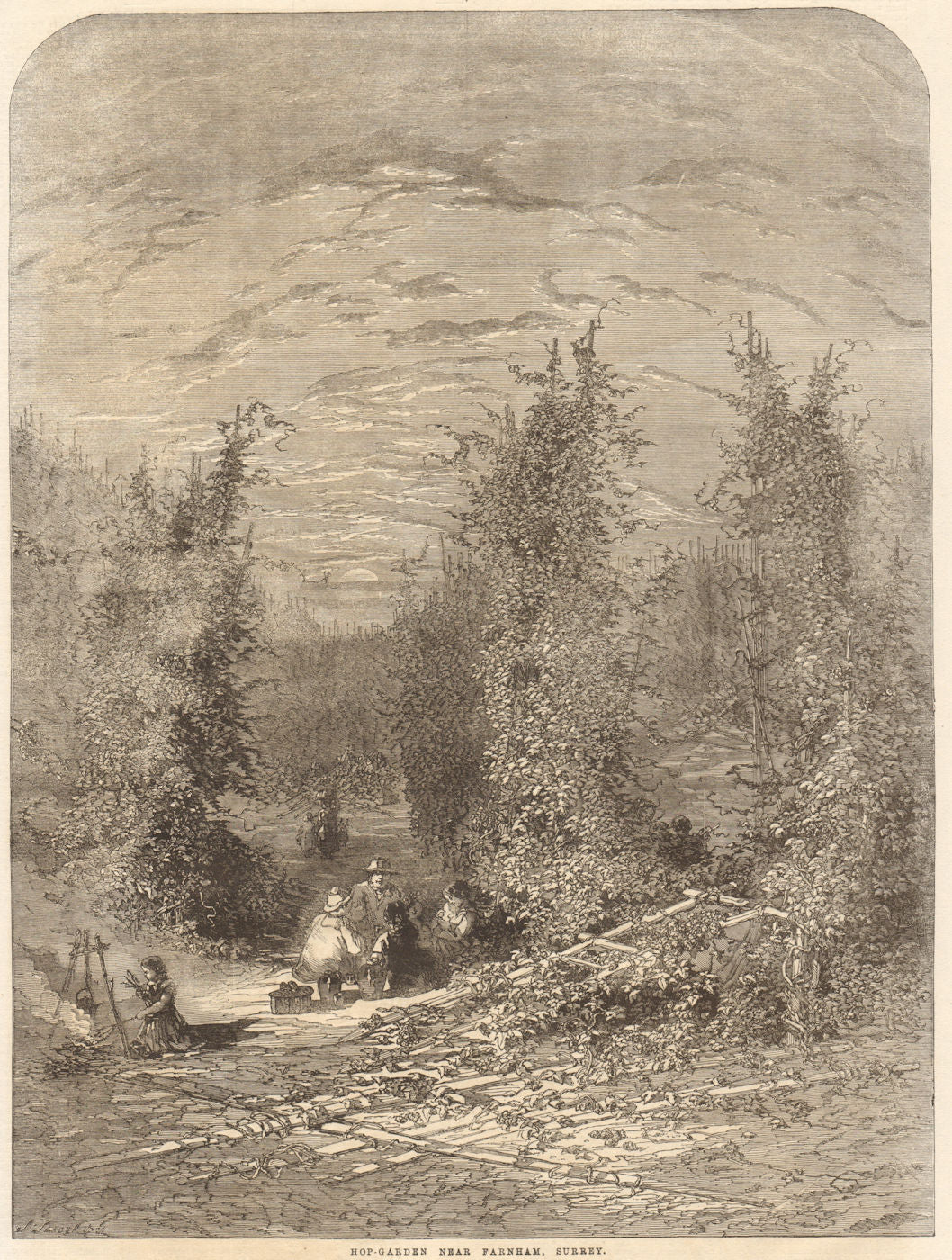 Hop-garden near Farnham, Surrey. Farming 1861 old antique print picture